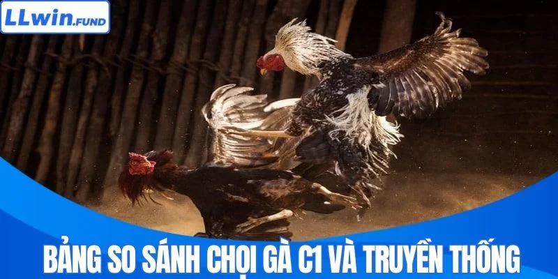 Đá Gà C1 LLWIN - Nơi Những Chiến Kê Triệu Đô Hội Tụ
