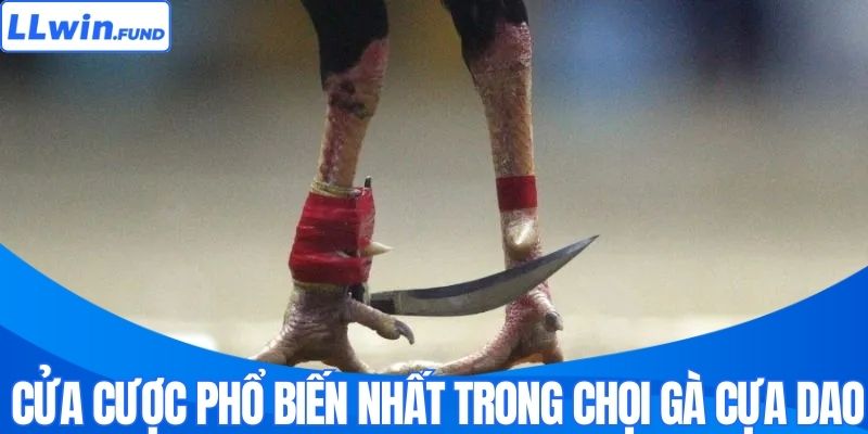 Đá Gà Cựa Dao - Đấu Trường Sinh Tử Hấp Dẫn Nhất Tại LLWIN
