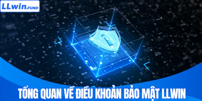 Chính Sách Bảo Mật Và Thời Hạn Lưu Trữ Dữ Liệu Từ LLWIN