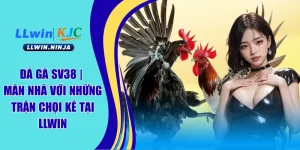 Đá Gà LLwin | Sân Chơi Cược Gà Chọi Ăn Khách Số 1 Châu Á