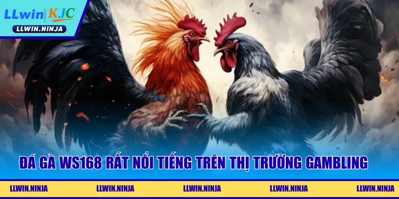 Đá Gà WS168 | Đấu Trường Chọi Kê Nhiều Kèo Ngon Tại LLwin