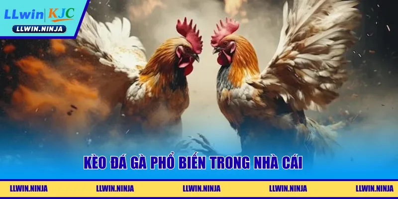 Kèo Đá Gà Là Gì? Chiến Lược Dự Đoán Hiệu Quả Tại LLwin