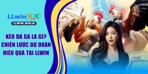Đá Gà LLwin | Sân Chơi Cược Gà Chọi Ăn Khách Số 1 Châu Á