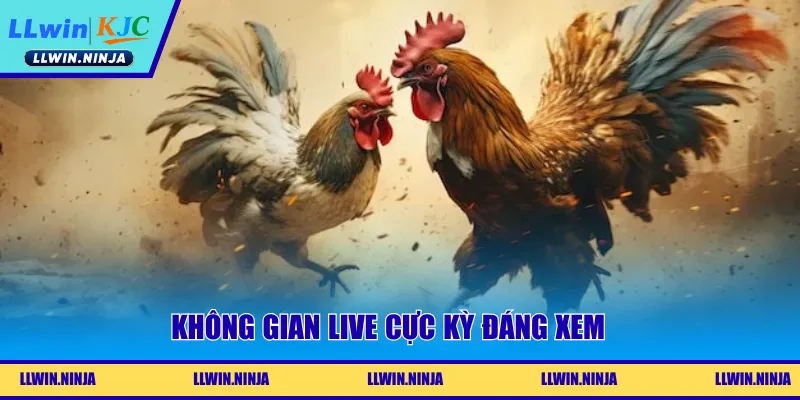 Link Đá Gà Trực Tiếp Mượt Mà, Nét Căng Tại Nhà Cái LLwin