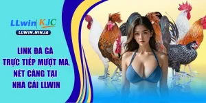 Đá Gà LLwin | Sân Chơi Cược Gà Chọi Ăn Khách Số 1 Châu Á
