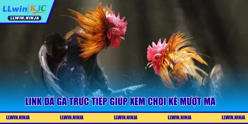 Link Đá Gà Trực Tiếp Mượt Mà, Nét Căng Tại Nhà Cái LLwin
