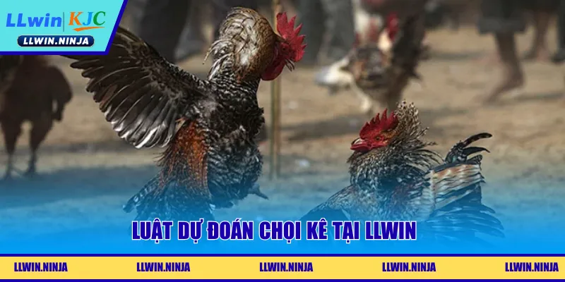 Đá Gà WS168 | Đấu Trường Chọi Kê Nhiều Kèo Ngon Tại LLwin