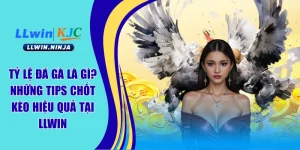 Đá Gà LLwin | Sân Chơi Cược Gà Chọi Ăn Khách Số 1 Châu Á