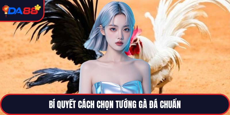 Cách Chọn Tướng Gà Đá - Bí Pháp Riêng Cho Kẻ Thắng