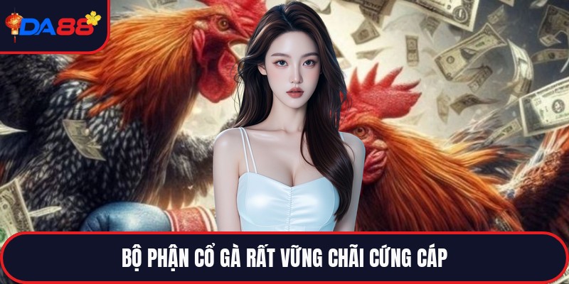Cách Chọn Tướng Gà Đá - Bí Pháp Riêng Cho Kẻ Thắng