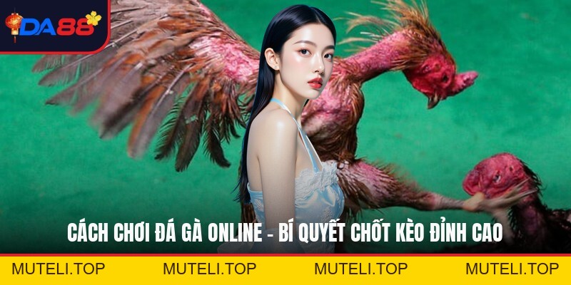 Đá Gà Da88 - Đấu Trường Trực Tiếp Đỉnh Cao Hàng Đầu
