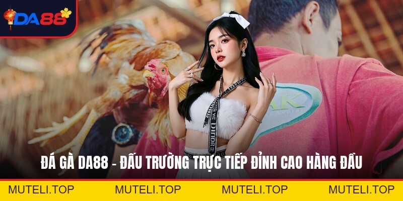 Đá Gà Da88 - Đấu Trường Trực Tiếp Đỉnh Cao Hàng Đầu