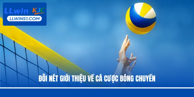 Cá Cược Bóng Chuyền -  Hình Thức Đặt Cược Hot Tại LLwin