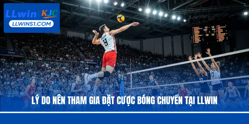 Cá Cược Bóng Chuyền -  Hình Thức Đặt Cược Hot Tại LLwin