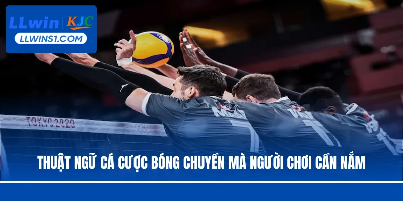 Cá Cược Bóng Chuyền -  Hình Thức Đặt Cược Hot Tại LLwin