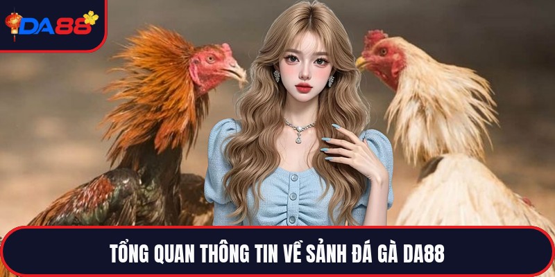 Đá Gà Da88 - Đấu Trường Trực Tiếp Đỉnh Cao Hàng Đầu
