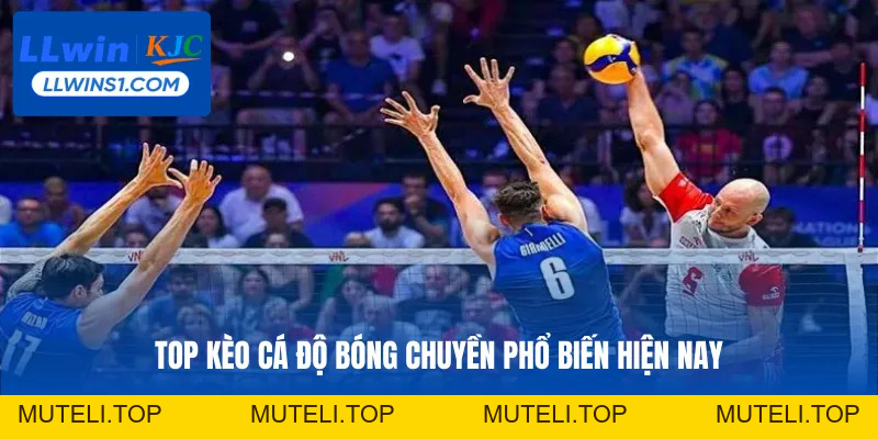 Cá Cược Bóng Chuyền -  Hình Thức Đặt Cược Hot Tại LLwin