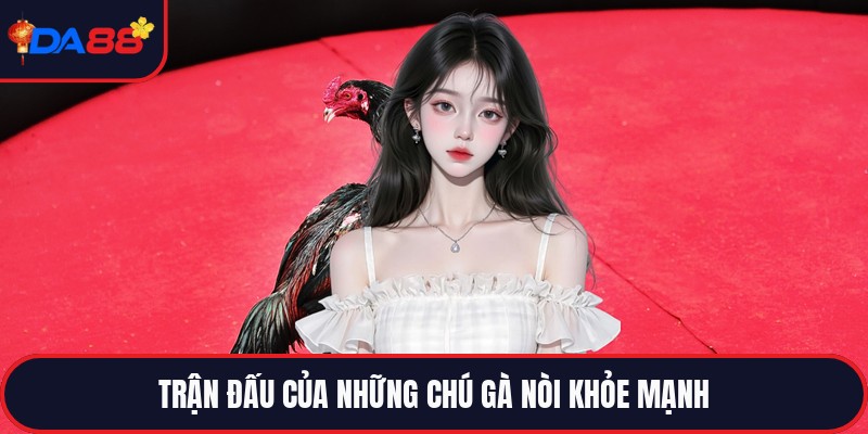 Đá Gà Da88 - Đấu Trường Trực Tiếp Đỉnh Cao Hàng Đầu
